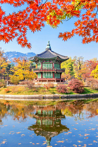 韩国秋天的庆邦和枫树