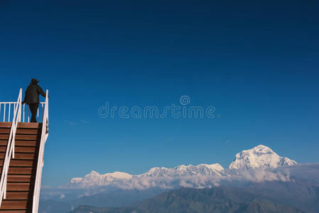 徒步旅行 旅行 森林 自然 喜马拉雅山脉 前景 地标 指向