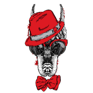 漂亮的杜宾戴着眼镜,戴着帽子和领带. 谱系做的照片