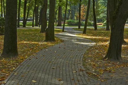 秋天公园里的小巷。