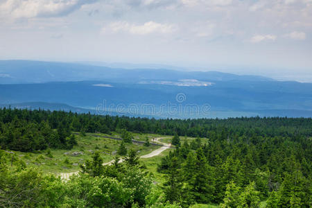 哈兹 岩石 刻痕 天空 草地 小山 布罗肯 阳光 风景 攀登