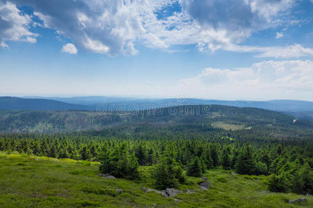 天空 阿尔卑斯山 风景 云杉 森林 阳光 松木 伍兹 德国