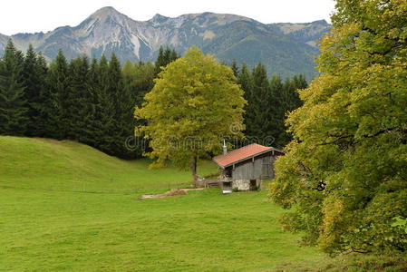 吉姆戈，巴伐利亚，德国。 德国高山乡村景观。