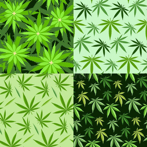 医学 草本植物 搞砸 罪行 插图 草药 瘾君子 农场