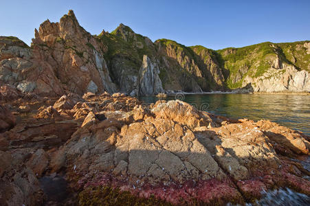 海岸,日落时的海崖.照片