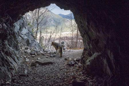 岩石山金库和档案洞穴的入口