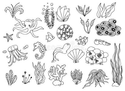 有趣的 菜单 海藻 涂鸦 公司 可爱的 海鲜 概述 动物