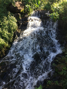 岩画 岩石 夏威夷 泡沫 套房 出生 夏威夷语 脐带 熔岩