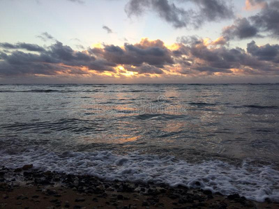 日出 考艾 波浪 波动 棕榈 早晨 黎明 椰子 公园 海滩