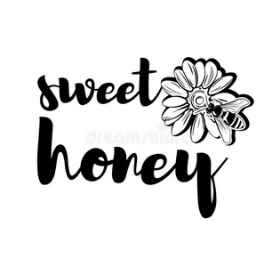 蜜蜂在花上. 甜蜂蜜标签,标志,徽章.照片