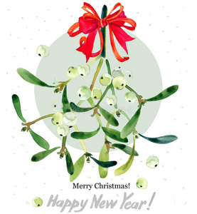 植物区系 圣诞节 传统 招呼 分支 浪漫的 季节 庆祝 插图