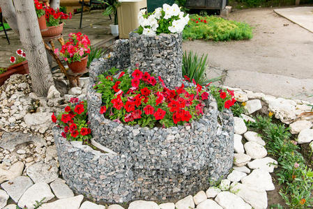 矮牵牛花坛图片