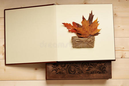 复制 纸张 作文 季节 纹理 枫树 秋天 树叶 文学 桌子