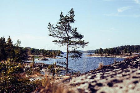 自然 旅游业 钓鱼 斯考尔 美丽的 挪威 真实的 美女 天空