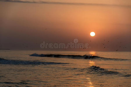 阿曼萨拉拉海滩迷人的日落红浪5