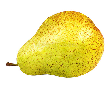 仙人掌植物,刺梨仙人掌靠近,仙人掌刺,白底梨白底梨白底梨开花刺梨.