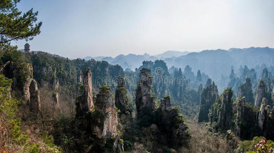 集群 地质学 砂岩 岩石 峡谷 储备 香味剂 石灰石 障碍