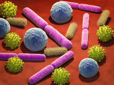 生物学 细菌 癌症 感染 大肠杆菌 芽孢杆菌 流感 疾病
