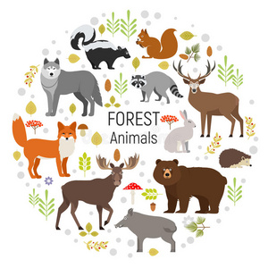 圈出植物和森林动物的向量集。