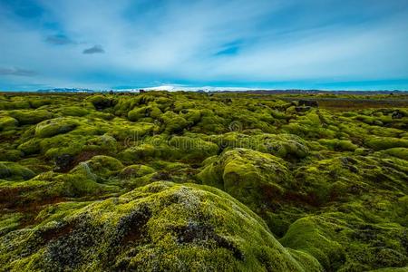 苔藓 土地 极端 欧洲 旅行 云景 冰岛 近的 天空 岩石