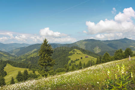 山和草地