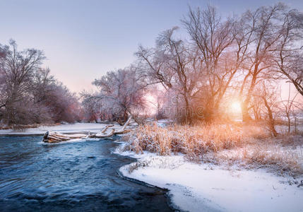 带有雪林的圣诞节背景。 冬季景观