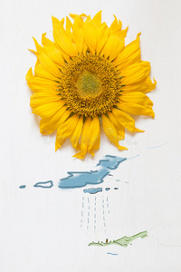 绘画 花的 自然 向日葵 春天 卡片