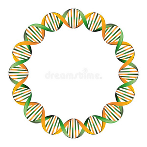 基因组 细胞 分子 人类 医学 研究 科学 要素 生物 微粒