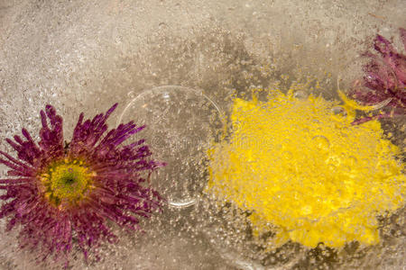 冬季冰花泡泡图片