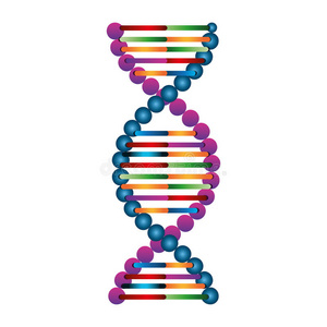 生物 基因组 研究 分子 生物学 进化 插图 细胞 爱普生