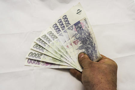 5000捷克克朗图片