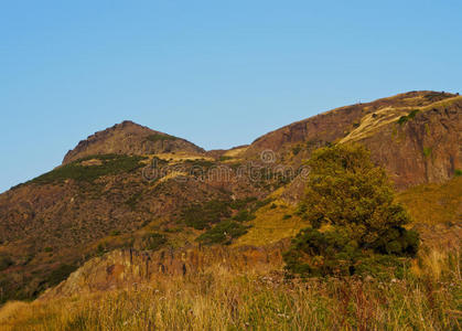 爱丁堡 复制空间 英国 风景 自然 目的地 欧洲 丘陵 草地