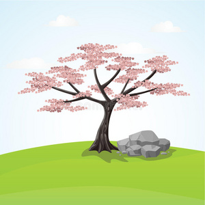 收集 花园 分支 庆祝 樱桃 文化 日本 自然 亚洲 插图