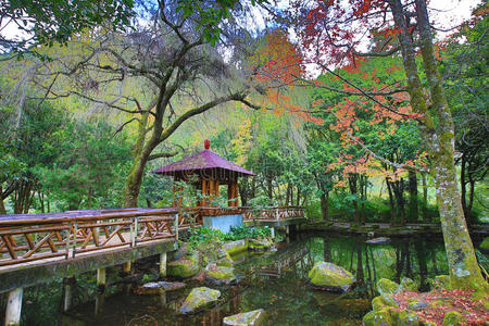 美丽的湖景，五颜六色的树木和乔木