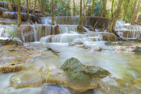 丛林 树叶 植物 流体 天堂 公园 白内障 落下 森林 美丽的