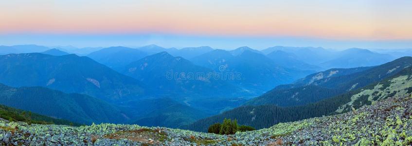 斜坡 天空 冷杉 范围 夏天 岩石 阿尔卑斯山 天亮 滑动