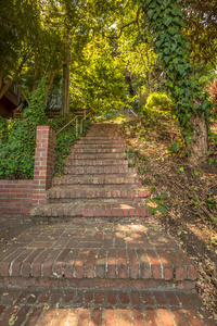 树叶 旅行者 楼梯 旅游业 小山 街道 吸引力 陡坡 格林威治