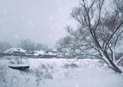 圣诞节的冬天背景有雪和树