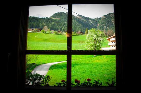 美丽的花和绿色的花园,通过风景优美的地方,奥地利的窗户照片
