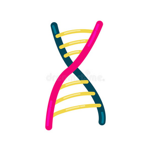卡通风格的DNA链图标