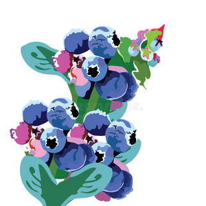 绘画 蓝莓 收获 手工制作的 草药 水果 甜点 森林 卡片