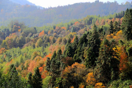 塔川五彩缤纷的秋景