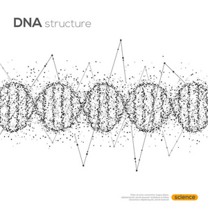 抽象的黑色DNA螺旋线与线