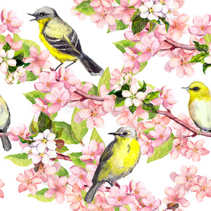 樱花苹果，樱花，鸟类。 花无缝图案。 水彩画