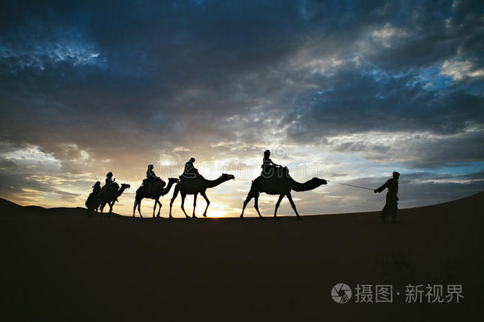 骆驼 甜点 人民 假日 撒哈拉 风景 冒险 轮廓