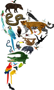 南美洲动物分布图片