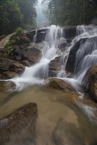 白内障 纯洁 风景 国家的 树叶 科隆 丛林 局域网 水塘