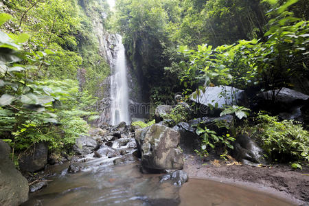 雨水 美丽的 公园 国家的 局域网 运动 森林 纯洁 科隆