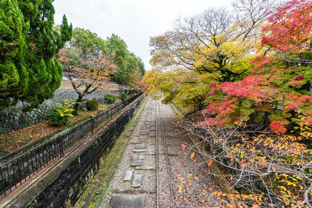 运输 风景 落下 环境 场景 颜色 日本 美丽的 森林 情景