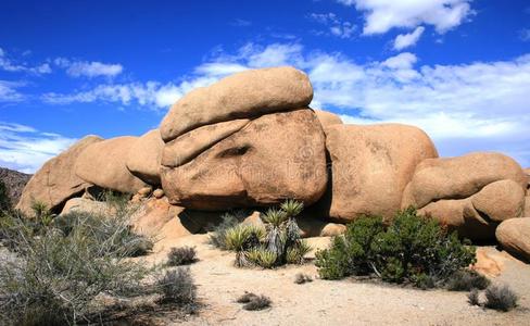 风景 沙漠 约书亚 巨石 加利福尼亚 混乱 岩石 米色 全景图